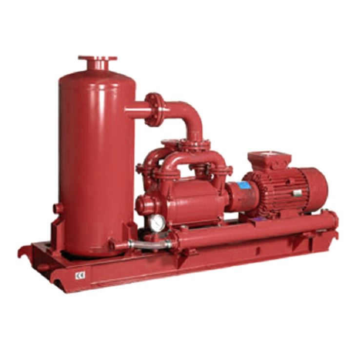 Liquid-ring Vacuum Pump