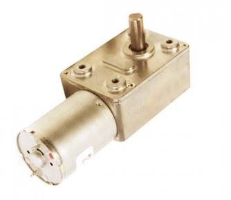 Micro Worm Gear