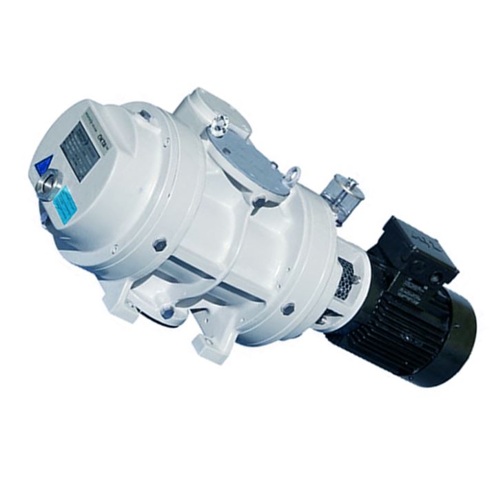 Roots Vacuum Pump