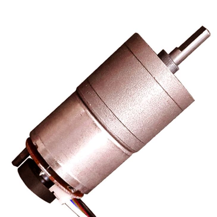 Small Gear Motor